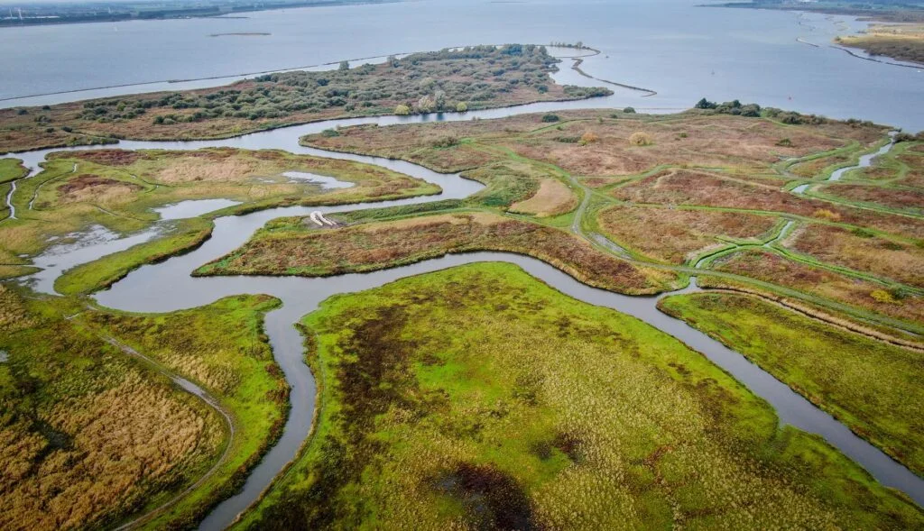 Korendijkse Slikken